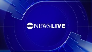 Article 6-oct posting